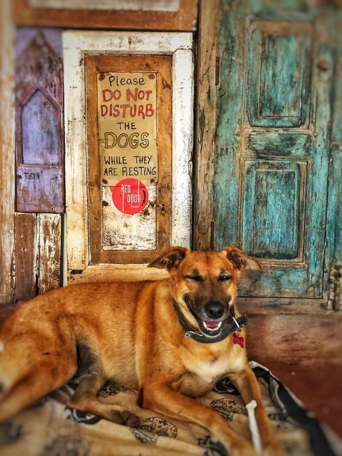 Red Door Hostel อันจูนา ภายนอก รูปภาพ